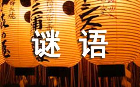 虛擬港灣的謎思：探秘新澳門天天免費(fèi)謎語下一期的數(shù)字奇遇