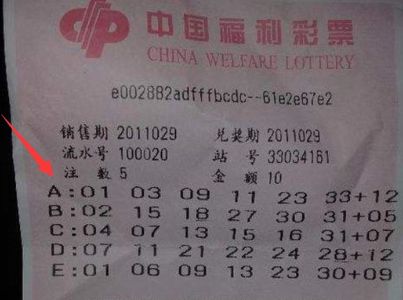 探秘王中王493333中特馬特色:數(shù)字謎團的邊境對話