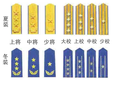 儀仗隊(duì)軍銜圖片大全：從士兵到將軍的榮譽(yù)之路深度解析