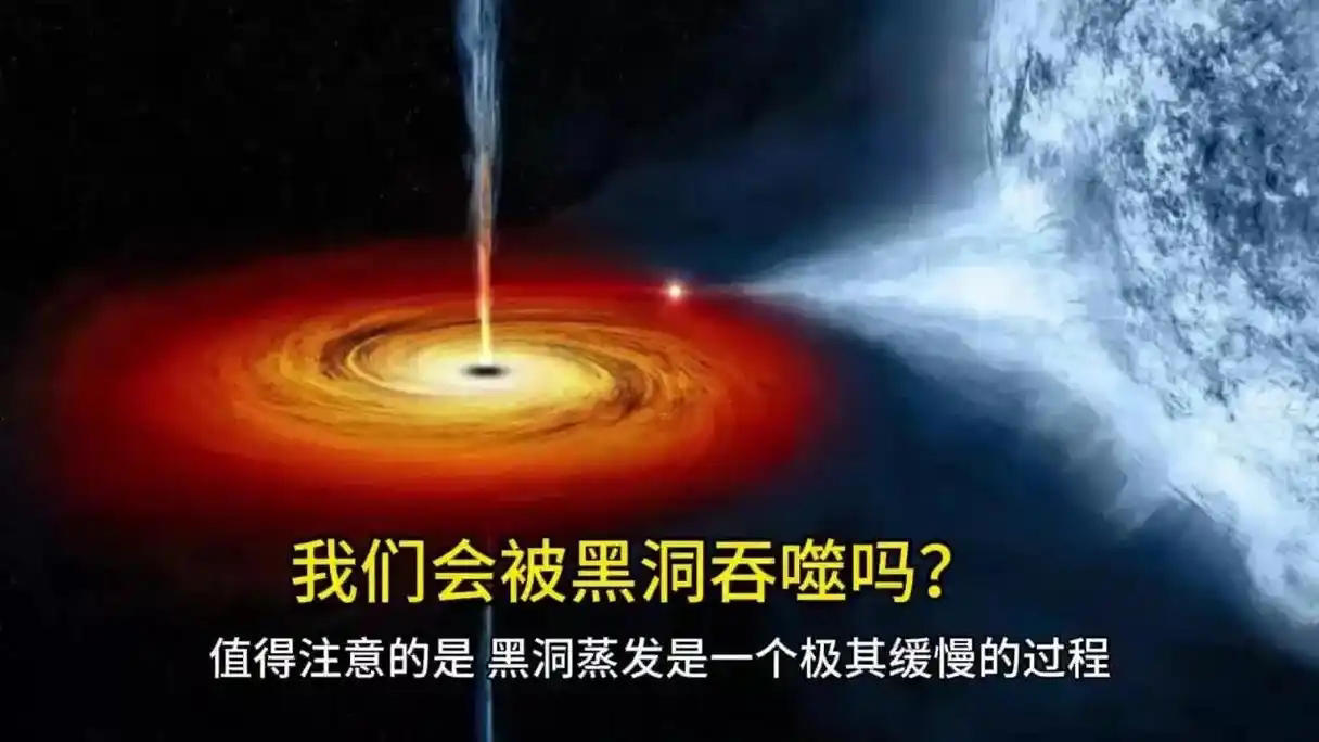 深度解析:管家婆一肖一碼王中王現(xiàn)象與理性信息辨識全攻略