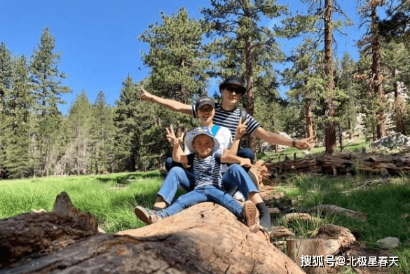 深度解析：探尋保劍鋒的父親是誰及其背后的隱私考量
