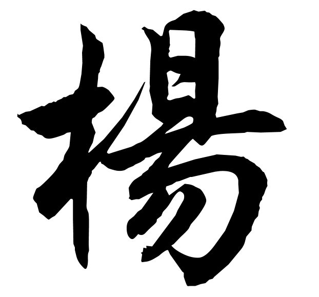 楊雨辰個人資料簡介圖片：深度解析與全方位呈現(xiàn)