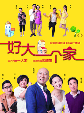 《好大一個(gè)家》電視劇演員表深度解析:角色與演技的魅力全攻略