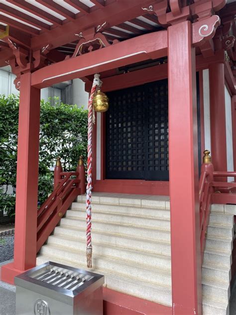 迷霧之境的啟示：一場關(guān)于2025新澳天天彩免費大全的深度對話