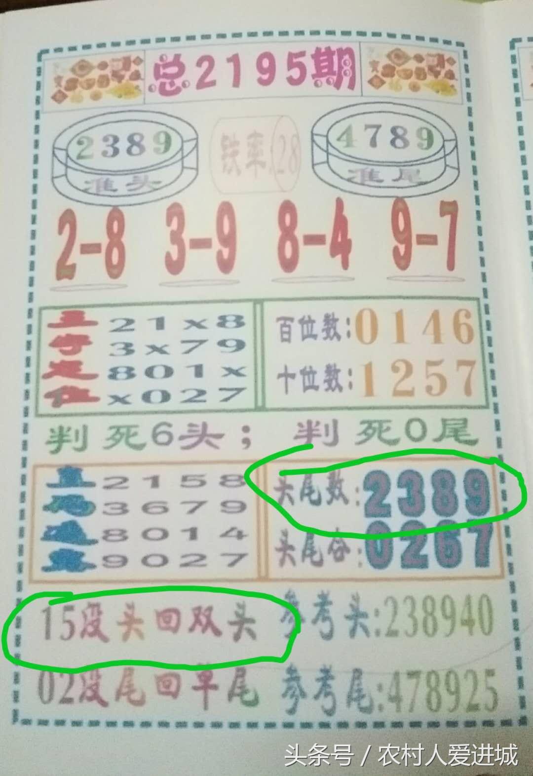 新澳門期期準免費期期準，探索與解析，澳門彩票期期準解析與探索