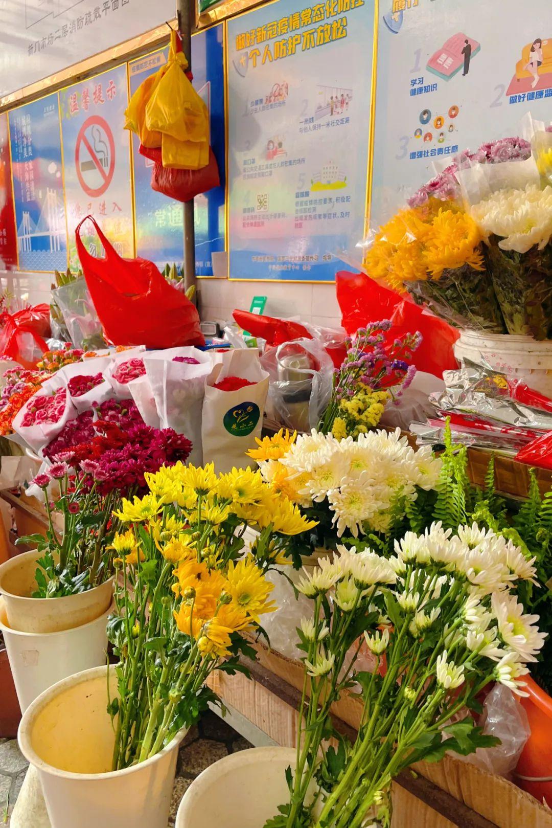新門內(nèi)部資料最快更新，深度探索與前沿洞察，新門內(nèi)部資料更新速遞，深度探索與前沿洞察揭秘