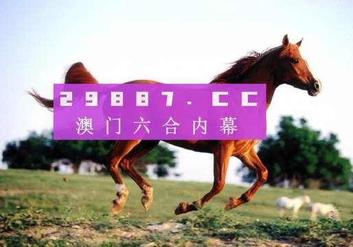 澳門一肖一碼一管家，揭秘神秘的面紗，澳門一肖一碼揭秘，神秘管家的面紗