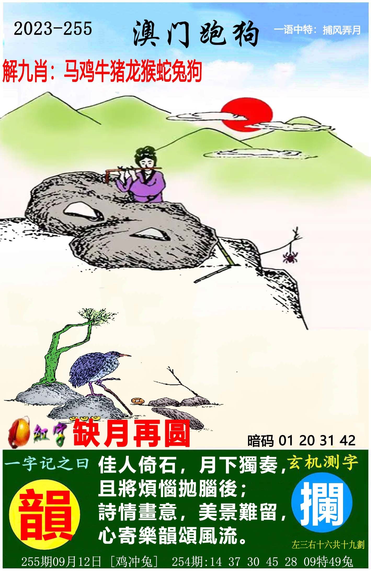 2025澳門天天開好彩大全46期