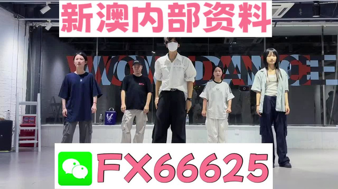 新澳天天開獎資料大全最新版詳解，新澳天天開獎資料大全最新版詳解及中獎秘籍