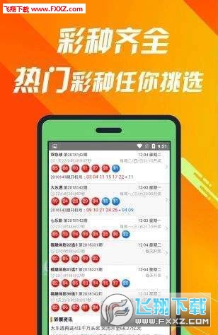 探究神秘的數(shù)字組合，493333王中王王中王，揭秘神秘數(shù)字組合493333王中王王中王的奧秘