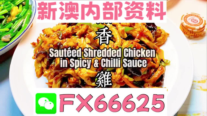 2025新奧精準(zhǔn)資料免費大全，探索未來，助力成長，2025新奧精準(zhǔn)資料免費大全，探索未來助力成長之路