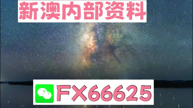 新澳天天開獎資料大全一，探索彩票世界的奧秘，新澳天天開獎資料大全一，揭秘彩票世界的神秘面紗