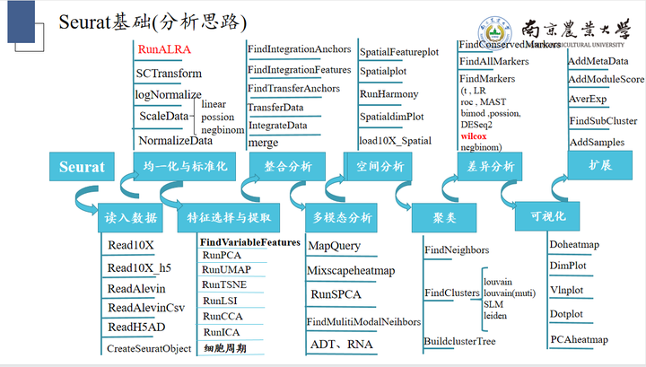 新奧天天免費資料單雙:揭秘免費資料獲取全攻略與風險規(guī)避