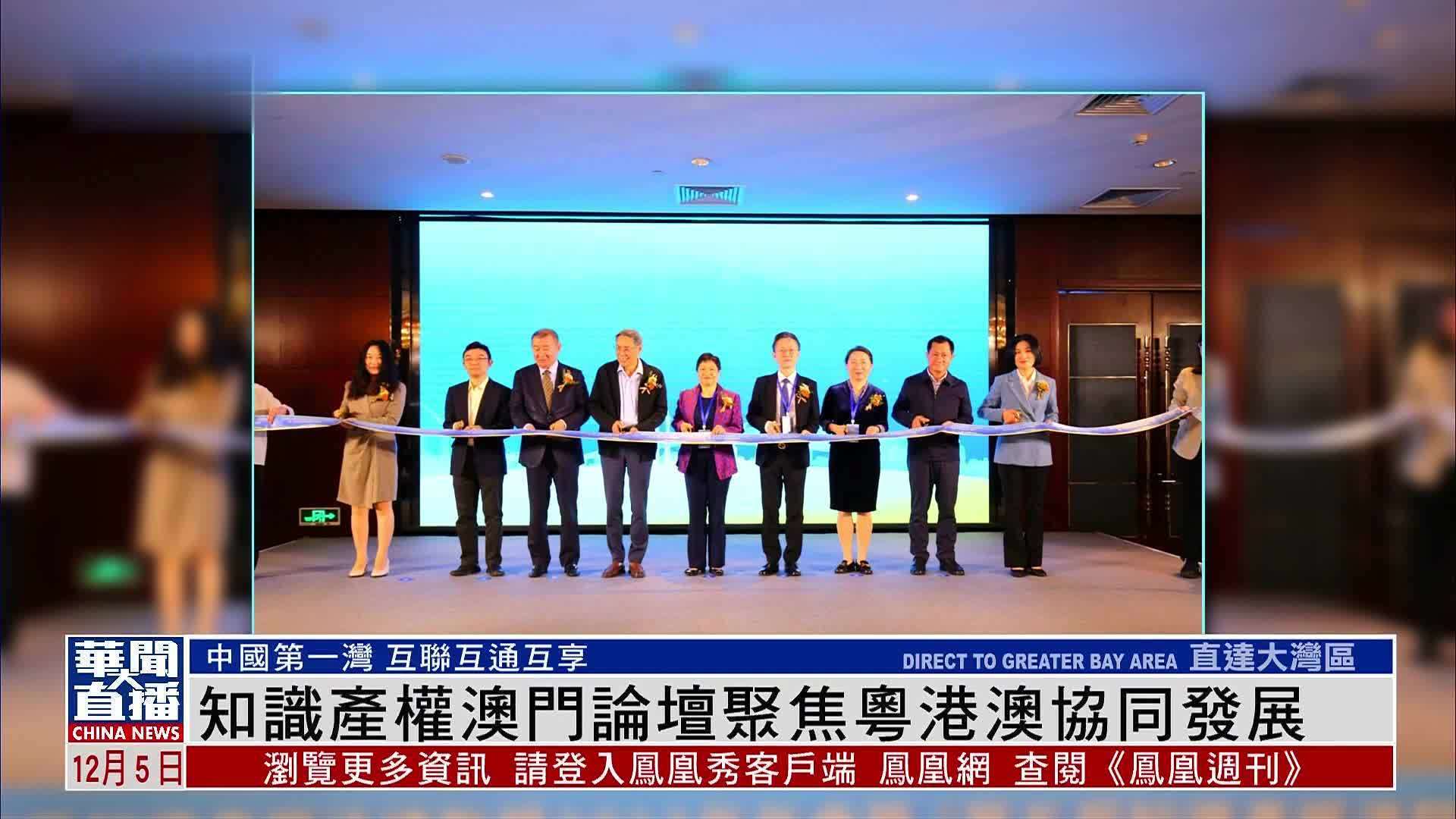 2025年新澳門正版內部:深度解析與未來發(fā)展前瞻
